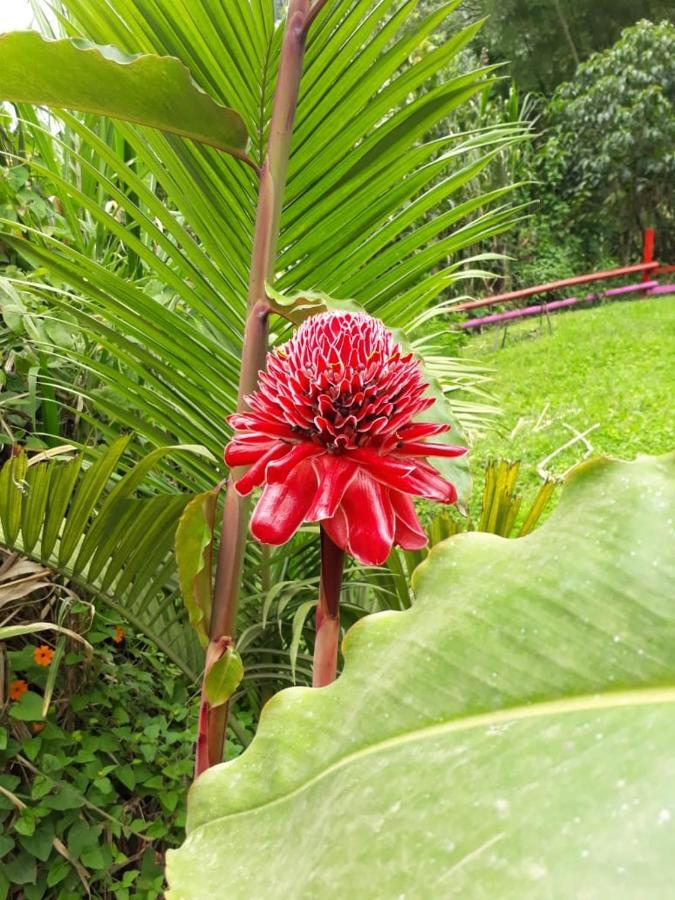 Hotel Dulce Campestre Jardin Exterior photo